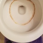 What Do Hard Water Stains Look Like: Complete Homeowner Guide